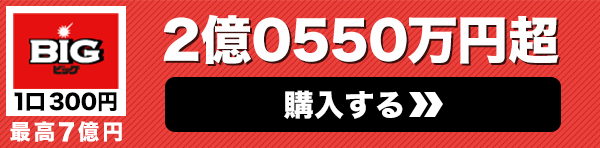 BIG一等配当金総額 2億0550万円超 購入はこちら