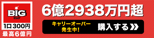 BIG一等配当金総額 1億3879万円超 購入はこちら