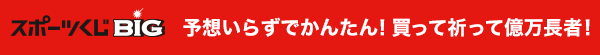 スポーツくじBIG 予想いらずでかんたん！買って祈って億万長者！